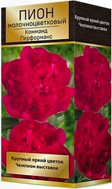 Корневище Пиона ПОИСК Комманд Перформанс