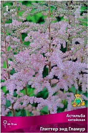 Луковица астильбы китайской ПОИСК Глиттер Энд Гламур 1 шт