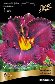 Луковица лилейника гибридного ПОИСК Пеплишес 1 шт