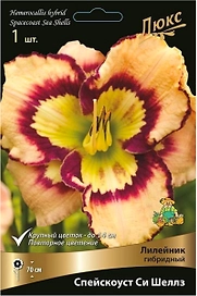Луковица лилейника гибридного ПОИСК Спейскоаст Си Шеллз 1 шт