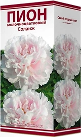 Луковица пиона молочноцветкового ПОИСК Соланж 1 шт