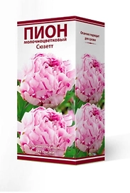 Луковицы пион многолетний молочноцветковый Сюзетт 1 шт