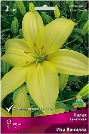 Луковица лилии азиатской ПОИСК Изи Ванилла 1 шт