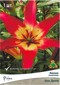 Луковица лилии азиатской ПОИСК Изи Дрим 1 шт