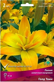 Луковица Лилии азиатской махровой ПОИСК Голд Твин 