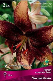 Луковицы лилии азиатской танго ПОИСК Чоклат Ивент 2 шт