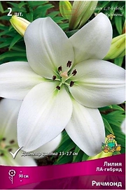 Луковицы лилии ла-гибрид ПОИСК Ричмонд 2 шт