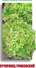 Семена Салата ПОИСК Кучерявец Грибовский 1 г