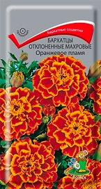 Семена Бархатца отклоненного махрового ПОИСК Оранжевое пламя 0,4 г
