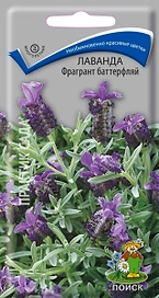 Семена Лаванды ПОИСК Фрагрант баттерфляй 20 шт