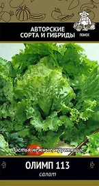 Семена Салата ПОИСК Олимп 113 1 г