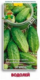 Семена Огурца ПОИСК Водолей 15 шт