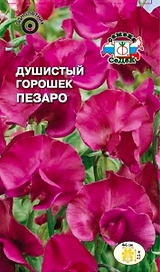 Семена Душистого горошка СеДеК Пезаро 1 г
