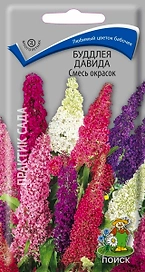 Семена Буддлеи Давида ПОИСК Смесь окрасок 10 шт