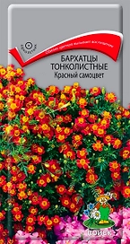 Семена Бархатца тонколистного ПОИСК Красный самоцвет 0,1 г