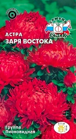 Семена Астры СеДеК Заря востока 3 г