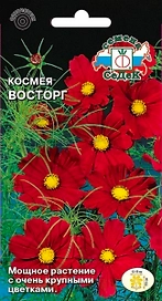 Семена Космеи СеДеК Восторг 3 г