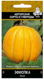 Семена Дыни ПОИСК Авторские сорта и гибриды Эфиопка 15 шт