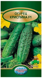 Семена Огурца ПОИСК Криспина F1 12 шт