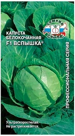Семена Капусты СеДеК белокочанная Вспышка F1 0,3 г