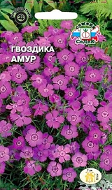 Семена Гвоздики СеДеК Амур 1 г