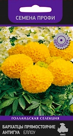 Семена Бархатца ПОИСК Голландская Селекция Прямостоячие Антигуа Еллоу 15 шт