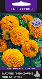 Семена Бархатца ПОИСК Голландская Селекция Прямостоячие Антигуа Оранж 15 шт