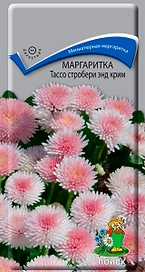 Семена Маргаритки ПОИСК Тассо Стробери энд Крим 20 шт