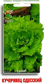 Семена Салата ПОИСК Кучерявец одесский 1 г