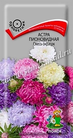 Семена Астры пионовидной ПОИСК Смесь окрасок 0,3 г