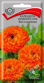 Семена Календулы низкорослой ПОИСК Фиеста оранжевая 0,3 г