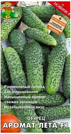 Семена Огурца ПОИСК Аромат лета F1 12 шт