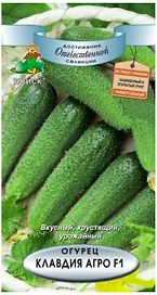 Семена Огурца ПОИСК Клавдия Агро F1 0,1 г