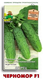 Семена Огурца ПОИСК Черномор F1 0,1 г