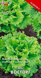 Семена Салата ПОИСК Восторг 1 г