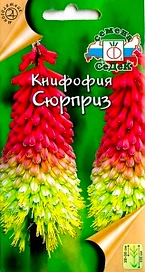Семена Книфофии СеДеК Сюрприз ягодная 1 г
