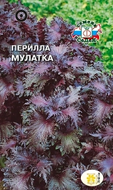 Семена Периллы СеДеК Кустарниковая Мулатка 0,1 г