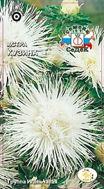 Семена Астры СеДеК Кузина 0,2 г