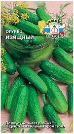 Семена Огурца СеДеК Изящный 0,5 г