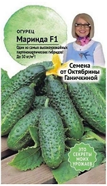 Семена Огурца Октябрина Ганичкина Маринда F1 8 шт