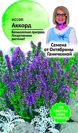 Семена Иссопа Октябрина Ганичкина Аккорд 0,5 г