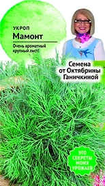 Семена Укропа Октябрина Ганичкина Мамонт 3 г