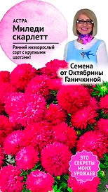 Семена Астры Октябрина Ганичкина Миледи скарлетт 0,1 г