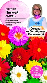 Семена Георгины Октябрина Ганичкина Пигмей 0,1 г