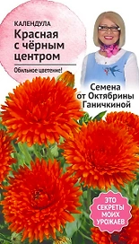 Семена Календулы Октябрина Ганичкина Красная с черным центром 0,3 г
