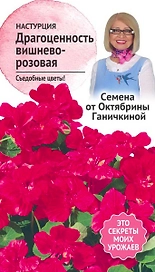 Семена Настурции Октябрина Ганичкина Драгоценность вишнево-розовая 1 г