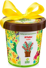 Набор для выращивания Happy Plant ягоды Годжи
