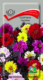 Семена Георгины ПОИСК Смуглянка 0,2 г