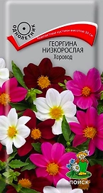 Семена Георгины низкорослой ПОИСК Хоровод 10 x 10 шт
