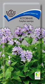 Семена Котовника ПОИСК Голубая пантера 10 шт